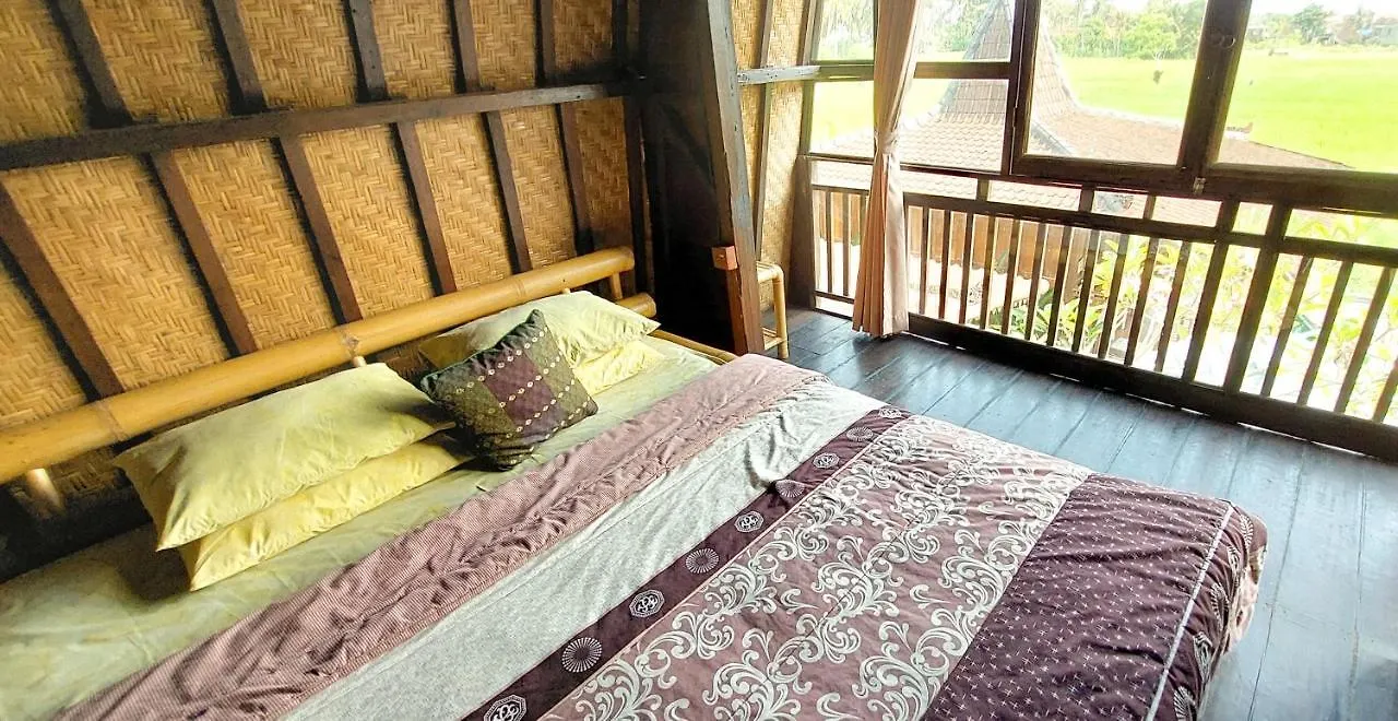 Green Paddy Villa & Hostel By Luxury Degree Ubud  2*, Ubud (Bali)