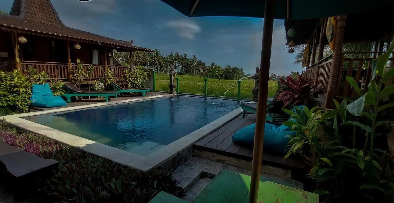 Green Paddy Villa & Hostel By Luxury Degree Ubud  Indonesia