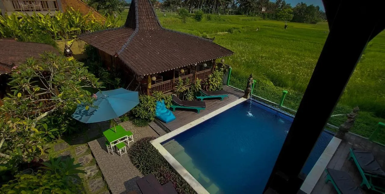 Green Paddy Villa & Hostel By Luxury Degree Ubud