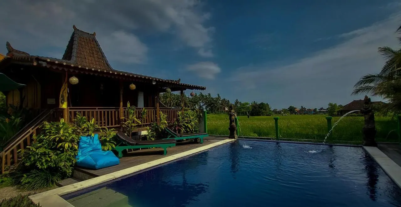Green Paddy Villa & Hostel By Luxury Degree Ubud  Hotel
